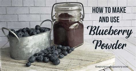 how-to-dehydrate-blueberries-make-blueberry-powder image