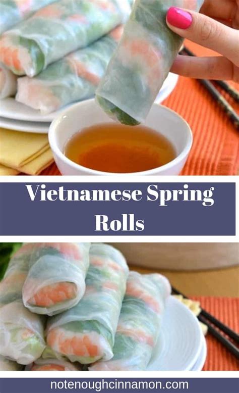 vietnamese-spring-rolls-a-step-by-step-recipe-not image