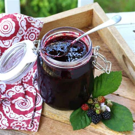 blackberry-jam-the-daring-gourmet image