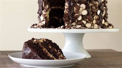 triple-malt-chocolate-cake-the-stay-at-home-chef image