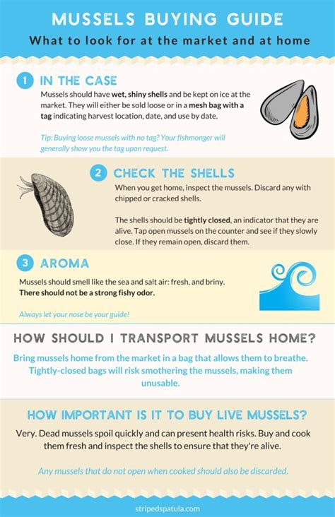 fresh-mussels-how-to-buy-clean-and-cook-mussels image