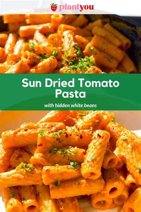sun-dried-tomato-pasta-plantyou image