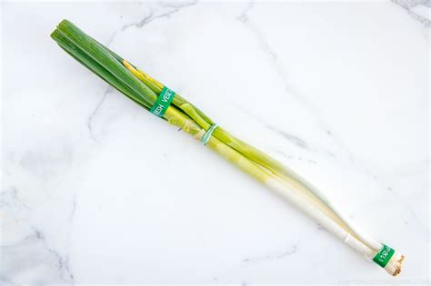 negi-japanese-long-green-onion-just-one-cookbook image
