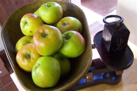 apple-sage-and-cider-sauce-rosie-makes-jam image