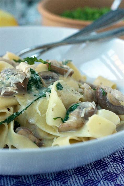 creamy-chicken-and-mushroom-pappardelle-scrummy image