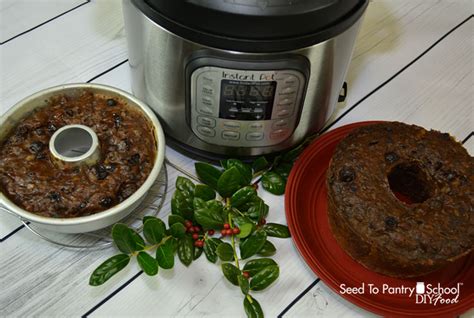 how-to-make-instant-pot-fruitcake-seed-to-pantry image