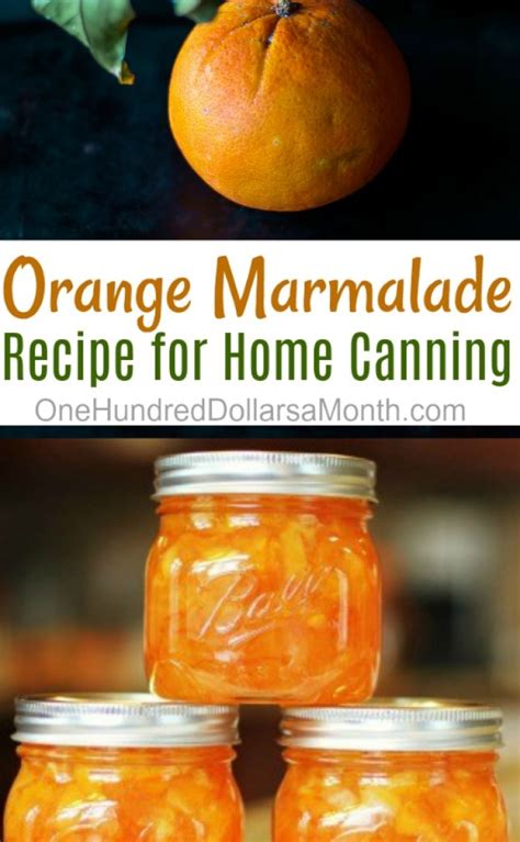 canning-101-orange-marmalade-recipe-one image