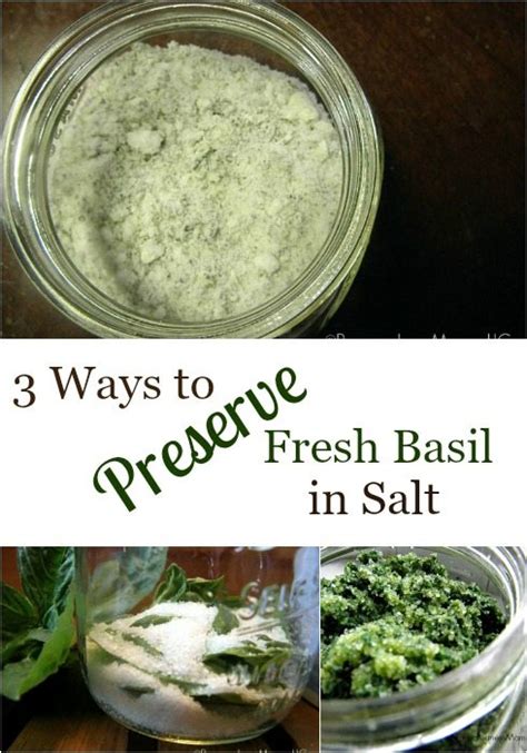 how-to-preserve-fresh-basil-in-salt-melissa-k-norris image