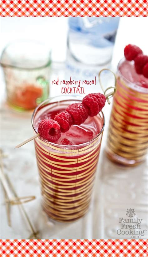 red-raspberry-rascal-cocktail-marla-meridith image