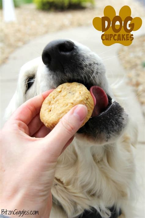 10-dog-cupcake-recipes-your-pup-will-love-my-dogs image
