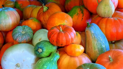 pumpkin-jam-food-heritage-foundation image
