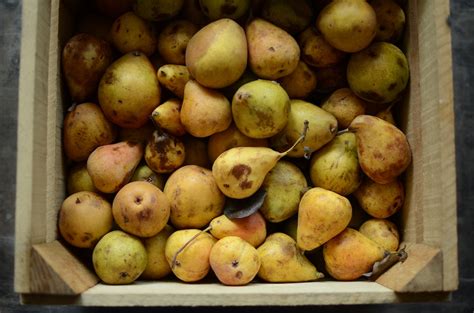 spiced-pear-jam-food-in-jars image