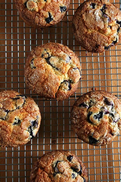 the-best-lemon-blueberry-muffins-alexandras-kitchen image