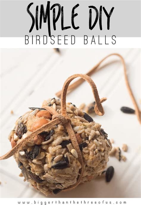 how-to-make-birdseed-balls-and-other-bird-treats image