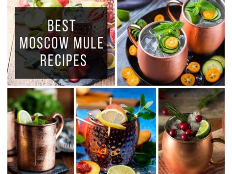 21-best-moscow-mule-recipes-to-upgrade-your-happy image