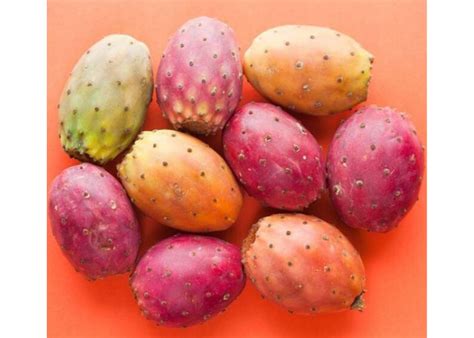 foraging-for-prickly-pears-plus-3-recipes-youll-enjoy image