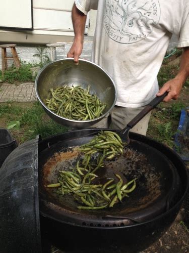 sauteed-string-beans-recipe-mother-earth-news image