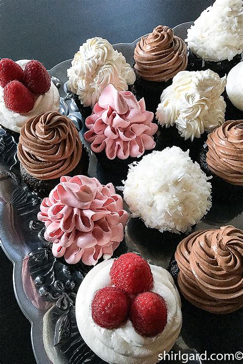 devils-food-chocolate-cupcakes-shirlgard image
