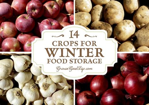 14-crops-for-winter-food-storage-grow-a-good-life image