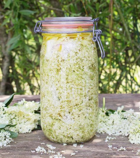 elderflower-liqueur-recipe-tales-from-the-kitchen-shed image