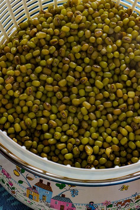 how-to-cook-mung-beans-cooking-maniac image