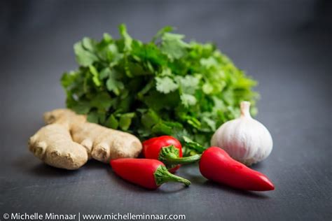 coriander-and-chili-marinade-greedy-gourmet-food image