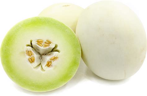honeydew-melon-information-recipes-and-facts image