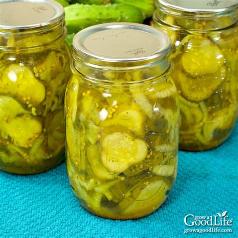 grannys-bread-and-butter-pickles-recipe-grow-a image
