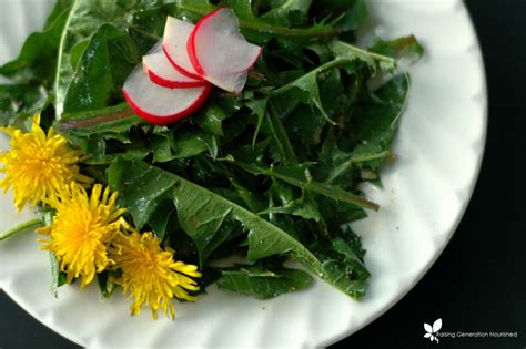 dandelion-spring-salad-with-simple-garlic-oil-dressing image