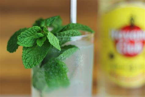 how-to-make-a-traditional-mojito-the-quickest-and image