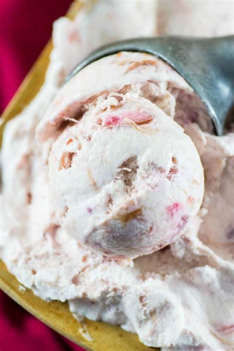 no-churn-rhubarb-ice-cream-recipe-noshing-with-the image