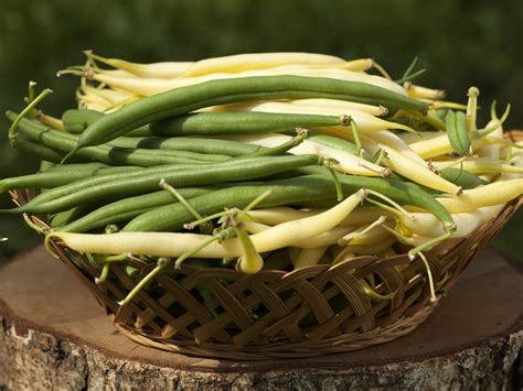 sauted-green-or-yellow-beans-the-fruitguys image