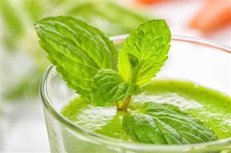 jalapeo-mint-smoothie-pepperscale image