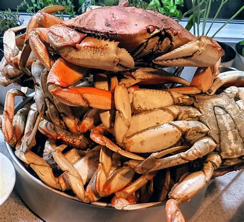steamed-dungeness-crabs-wild-woman image