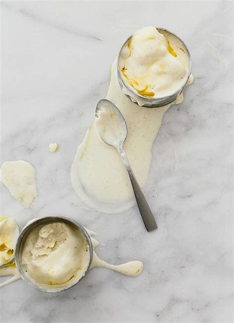 15-best-no-churn-ice-cream-recipes-the-vanilla-bean image