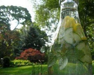 lemon-mint-cucumber-spritzer-recipe-sparkrecipes image