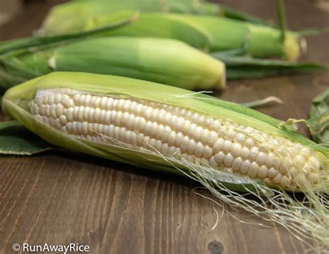 sweet-corn-pudding-che-bap-fresh-summer-corn image