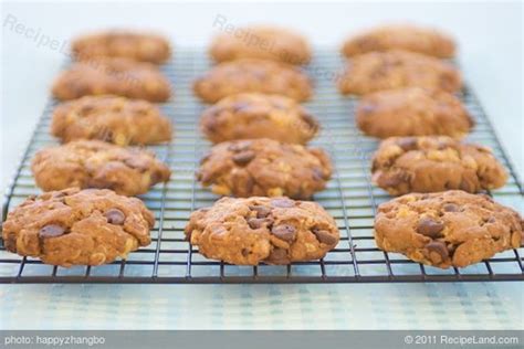 quaker-choc-oat-chip-cookies-recipe-recipelandcom image