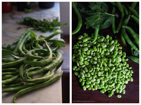 fava-beans-pesto-or-mar-for-as-long-as-it-takes image