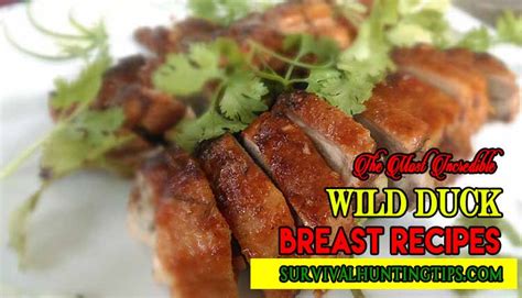 the-most-incredible-wild-duck-breast image