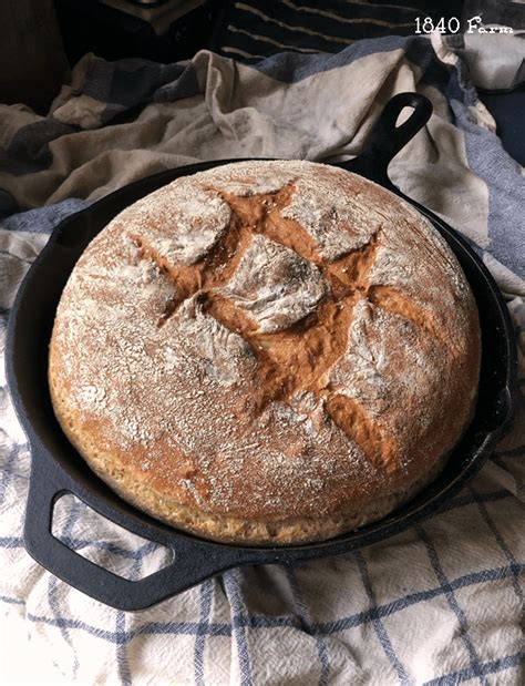rustic-bread-baked-in-a-cast-iron-skillet-1840-farm image