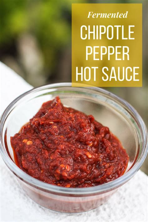 fermented-chipotle-pepper-hot-sauce-the-wild-gut image