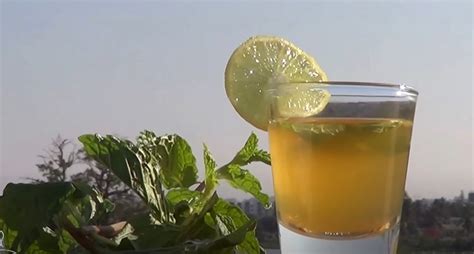 lemon-verbena-mint-detox-tea-recipe-recipesnet image