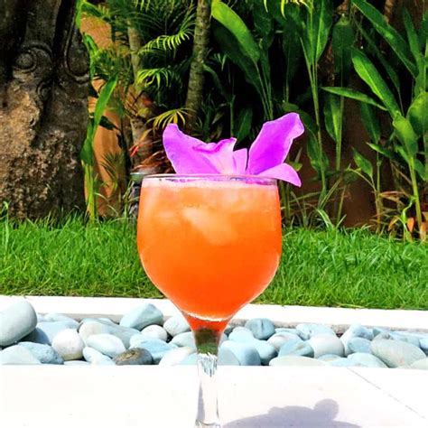 how-to-make-a-papaya-gin-sling-cocktail-kit image