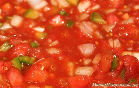 salsa-pico-de-gallo-chutney-relish-compote-and image