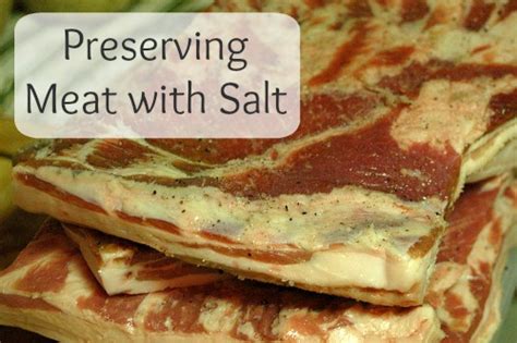 preserving-meat-with-salt-mom-prepares image