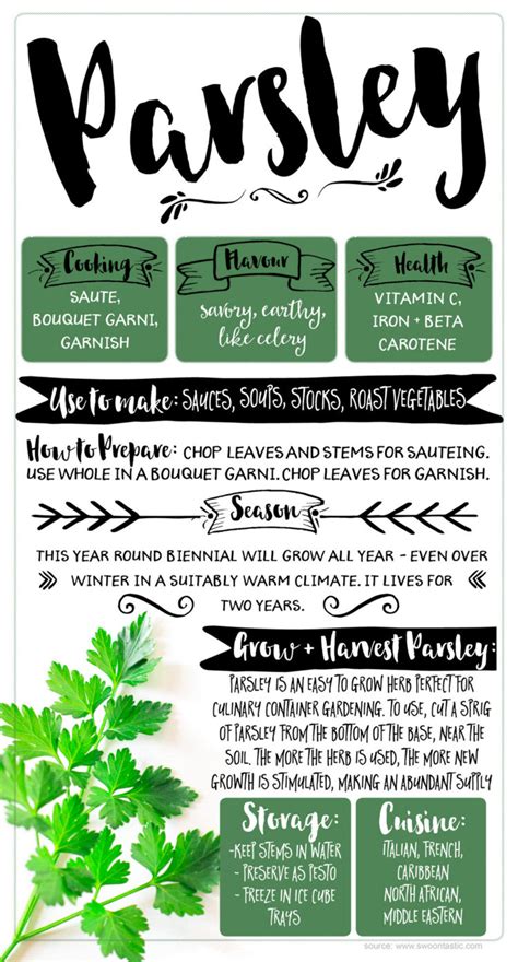 how-to-use-parsley-in-cooking-like-a-boss-swoontastic image