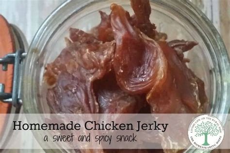 how-to-make-the-best-chicken-jerky-at-home-the image