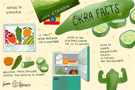 what-is-okra-and-how-is-it-used-the-spruce-eats image