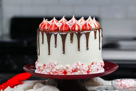 how-to-make-a-chocolate-drip-cake-easy-recipe-video image